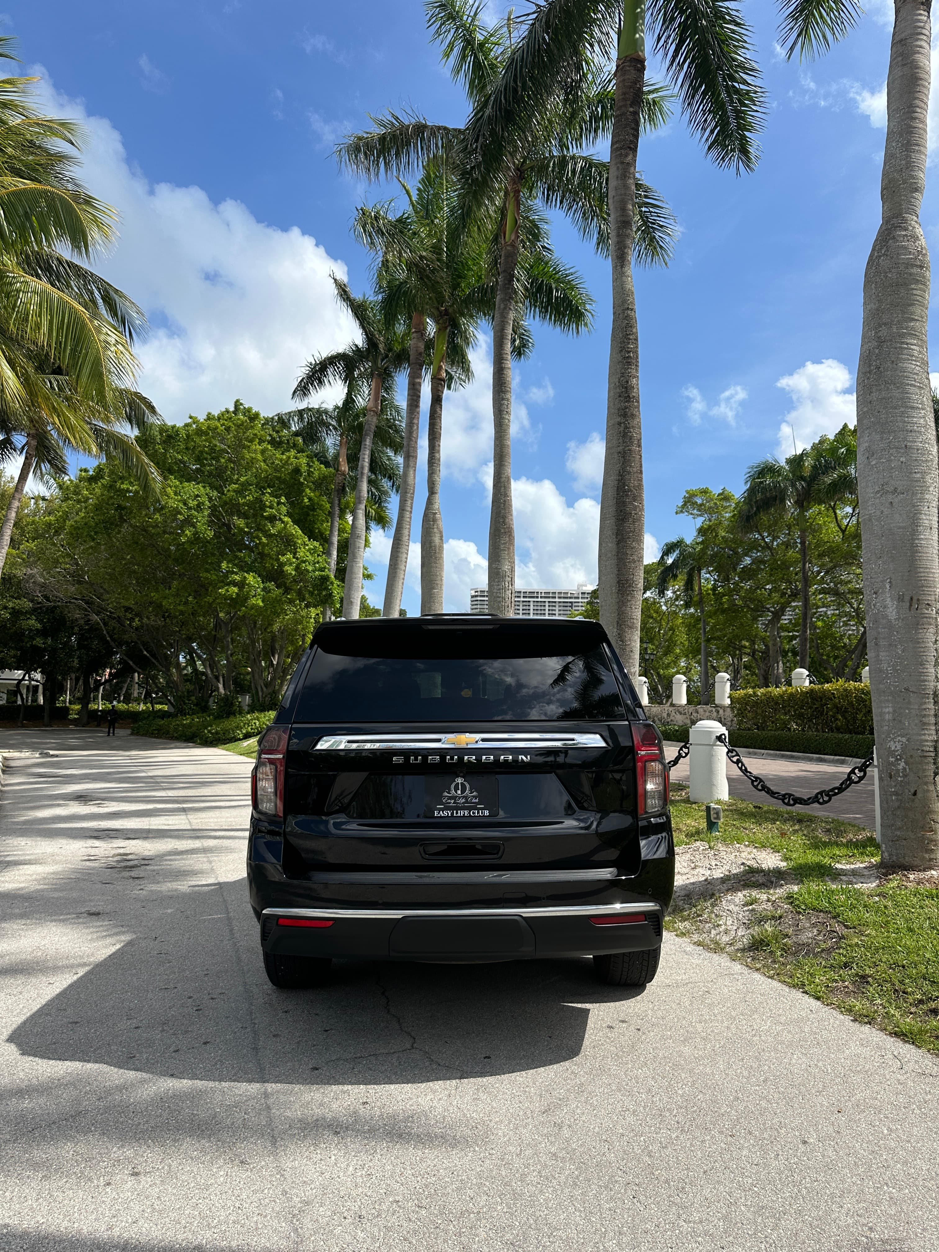 Chevrolet Suburban LS thumbnail 3