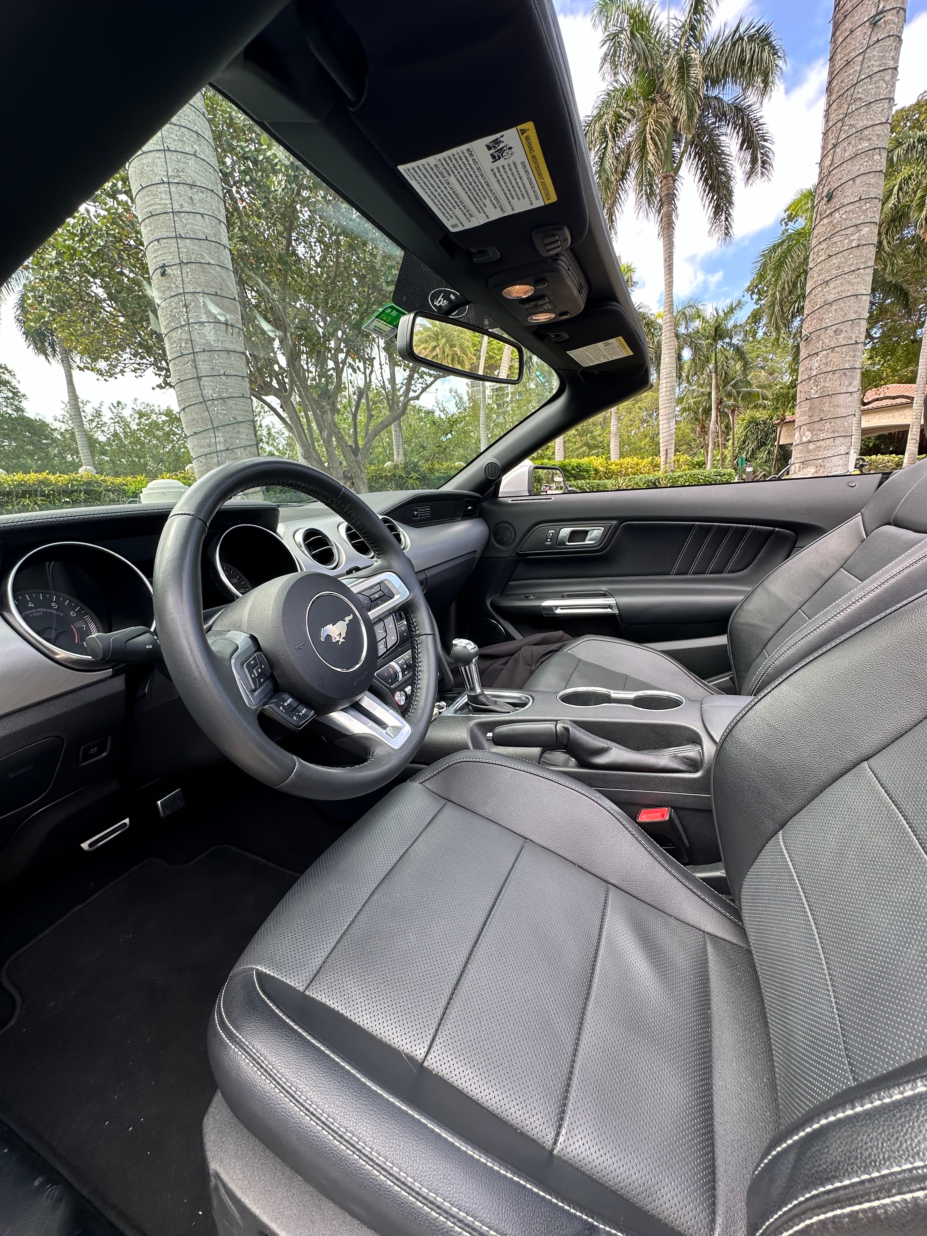 Ford Mustang thumbnail 3