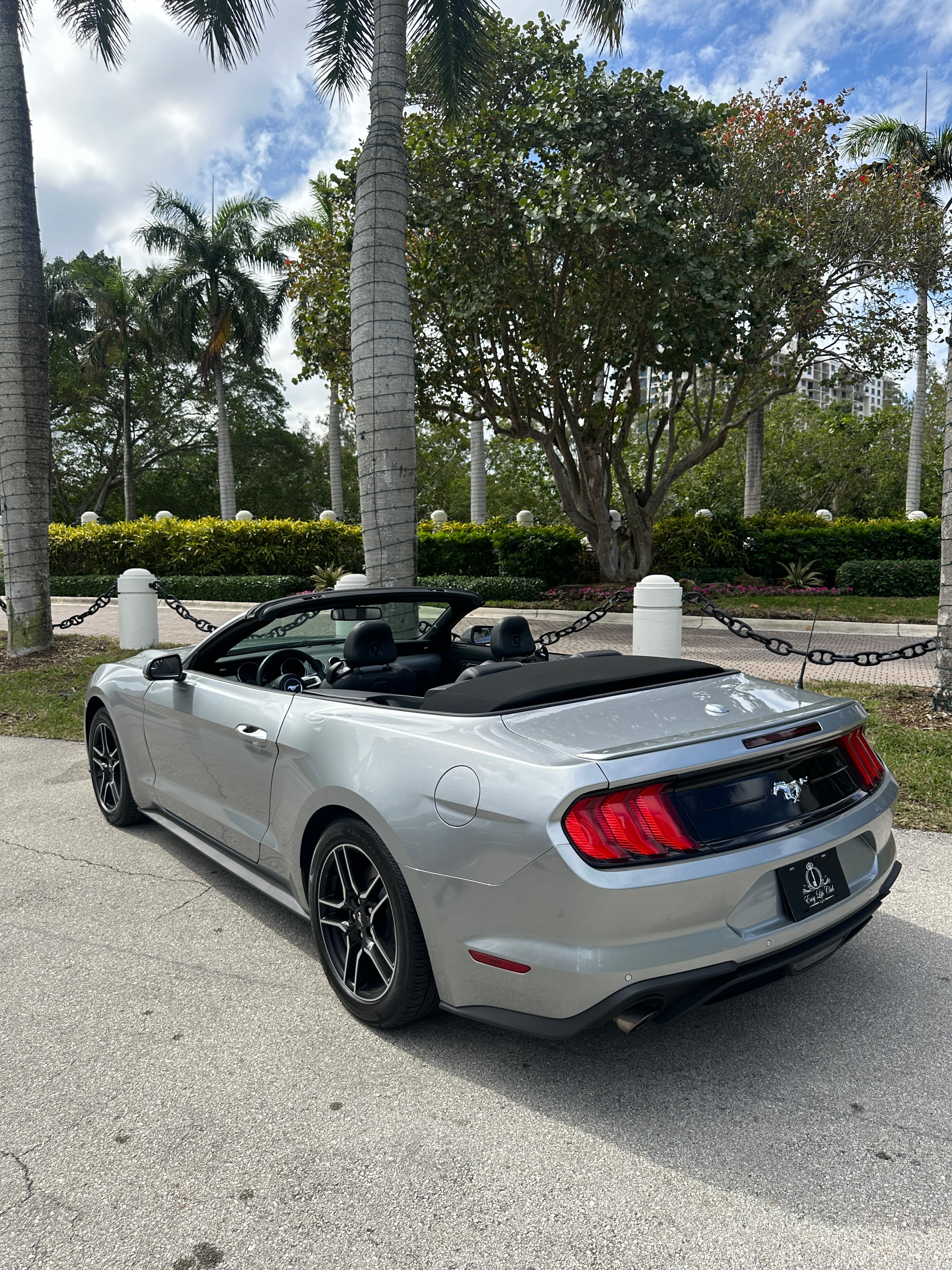 Ford Mustang thumbnail 6