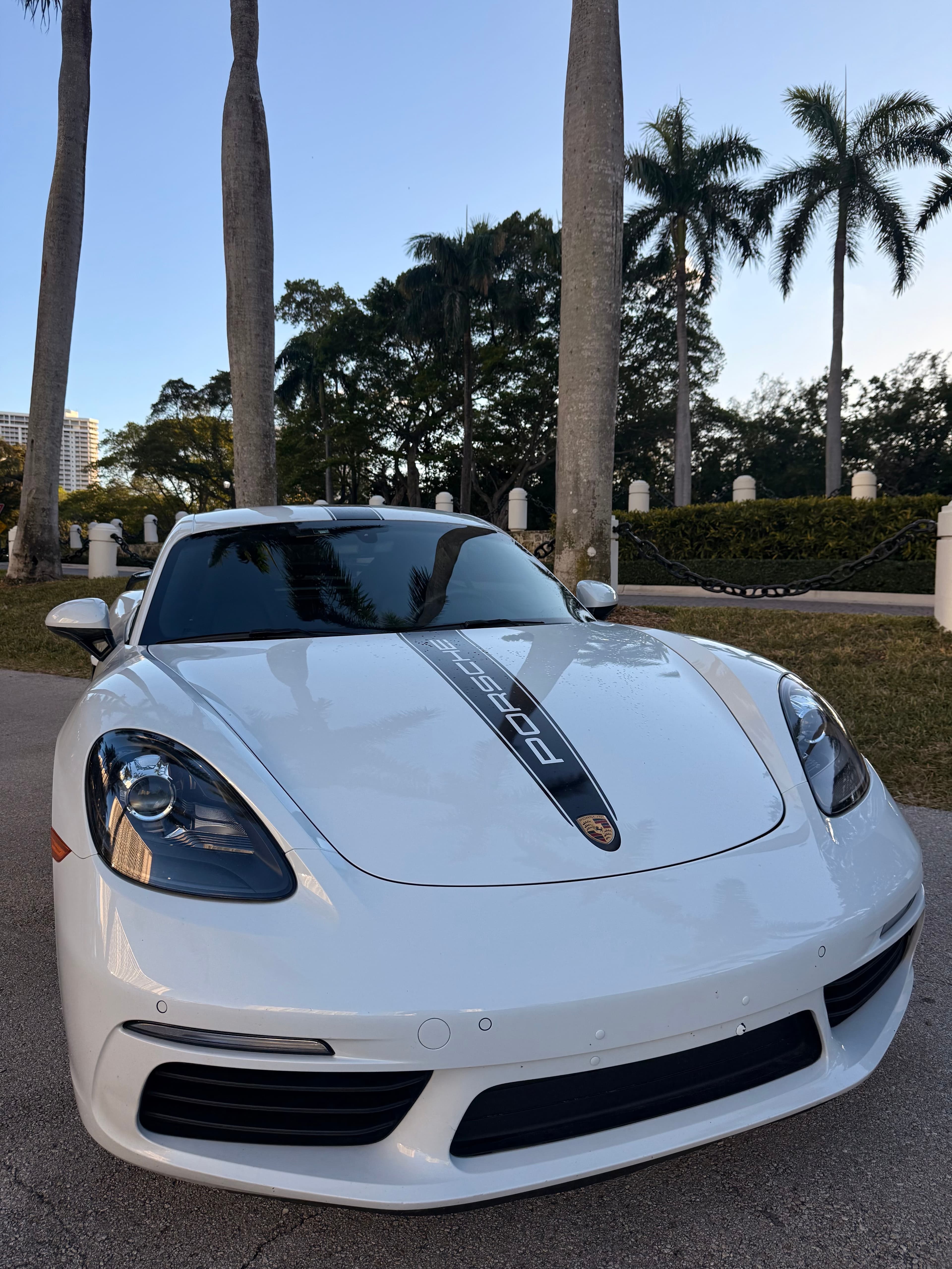 Porsche Cayman thumbnail 6